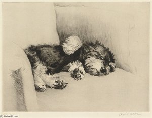 Comfortable — Beatrice Parsons
