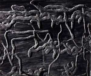 Untitled (wormwood) — Brett Weston