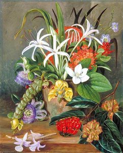 Group Of Cultivated Flowers — Marianne North