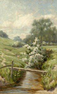 Stream Through Countryside — Byron Cooper