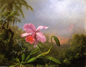Two Hummingbirds By An Orchid — Martin Johnson Heade