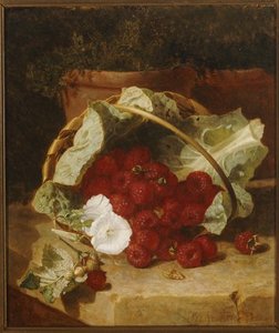 Raspberries In A Cabbage Leaf Lined Basket