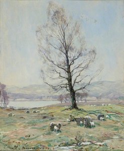 Landscape in Springtime