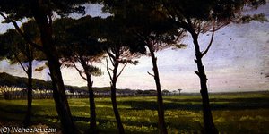 A Line of Old Pines
