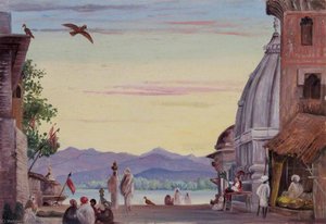 Oben An Den Heiligen Stufen, Hurdwar, Indien — Marianne North