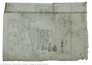 Voyage Au Soudan Oriental — Pierre-victor Trémaux