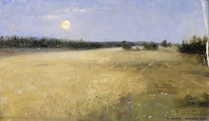 Summer Night — Elin Kleopatra Danielson-gambogi