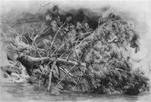 Fallen Tree. Siverskaya — Ivan Ivanovich Shishkin