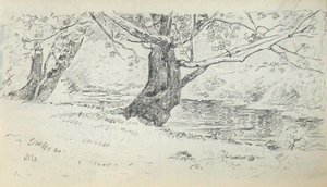 Tree On Bank Of Stream — John Ottis Adams