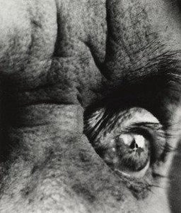 Max Ernst