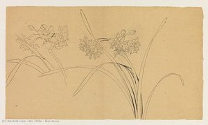 Narcissus — Xie Zhiliu