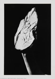 Window Washer, Paris — Ralph Eugene Gibson