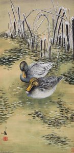 DUCKS IN THE WINTER POND