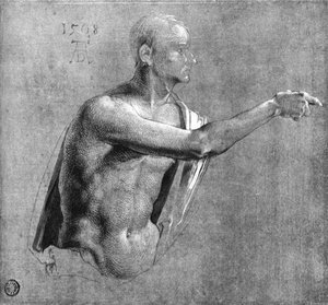 Male Nude, Half-length — Albrecht Dürer