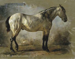 Yanko in the stable a white horse