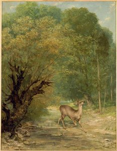 El Venado Acechado Primavera — Gustave Courbet, Contemporary Realism