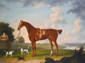Chestnut Hunter With A Groom — Thomas Stringer