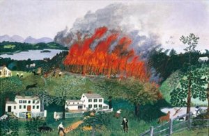 A Fire in the Woods