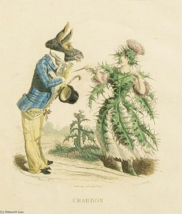 Thistle