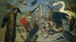 Concert Of Birds — Frans Snyders, Baroque