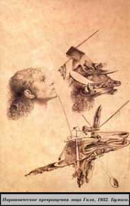 Paranoic Metamorphosis Of Gala's Face — Salvador Dalí, Surrealism