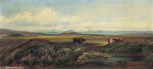 The Twelve Pins Of Connemara From Beyond Roundstone — Andrew Nicholl
