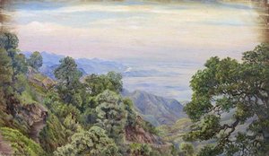 Doon From Mussoorie, Uttar Pradesh, India — Marianne North