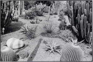 Huntington Gardens, California — John Ralph Gossage