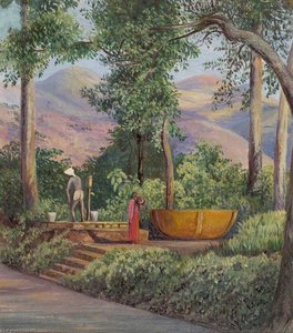 The Well, Ceylon (sri Lanka) — Marianne North, Victorian Botanical Painting