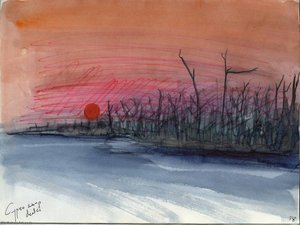 Cypress Swamp