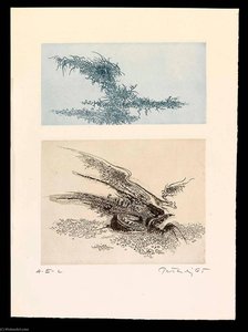 Elegy, From The Portfolio A Genesis — Gabor Peterdi