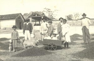 Mato Dentro Farm — Unidentified Artist, Harper's Weekly