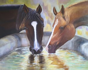 Horses Drinking Water — Tomás Caballero