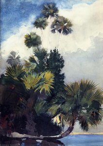 Palm Trees, Florida — Winslow Homer, American Realism