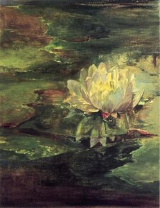 Water Lily Among Pads — John La Farge