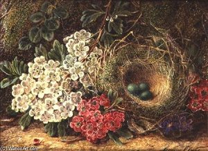 Still Life With Bird's Nest