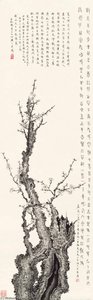Plum Blossoms