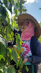 Pepper Farmer