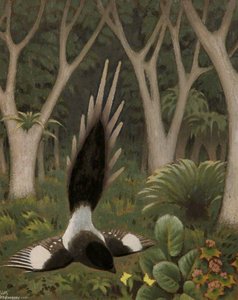 Long Tailed Fly Catcher — Keith Henderson