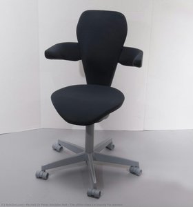 The office chair Lei mainly for women