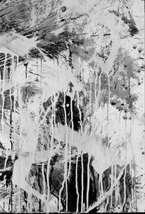 Ariel — Norman Bluhm