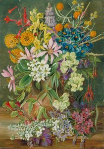 Wild Flowers Of Chanleon, Chili — Marianne North