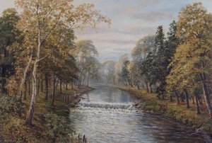 Weir, Pymmes Brook, Edmonton — John Bonny