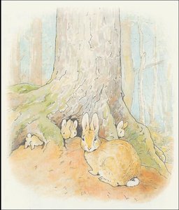 Peter Rabbit 3a - (11x12) — Beatrix Potter