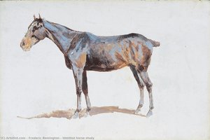 Untitled Horse Study — Frederic Remington