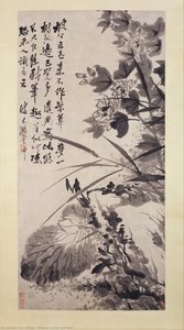 Hibiscus, Lotus, And Rock — Shitao