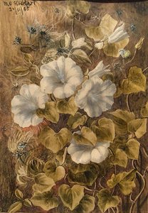 Untitled — Margaret Olrog Stoddart