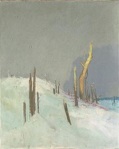 VUE DU FRONT LA FORÊT RAVAGÉE PAR LA GUERRE
