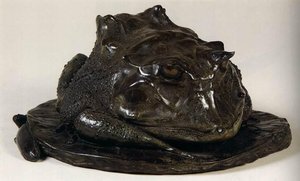 Brazilian Frog