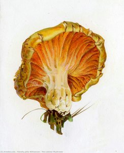 The Lobster Mushroom — Timoti Džon Vilijamson